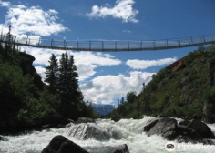 Bridge, Puppies and Suspension Bridge Triple Combo